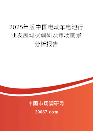 2025年版中国电动车电池行业发展现状调研及市场前景分析报告