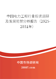 中国电力工程行业现状调研及发展前景分析报告（2025-2031年）
