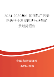 2024-2030年中国钢铁厂污染防治行业发展现状分析与前景趋势报告