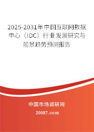 2025-2031年中国互联网数据中心（IDC）行业发展研究与前景趋势预测报告