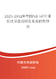 2025-2031年中国NB IoT行业现状深度调研及发展趋势预测