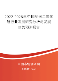 2022-2028年中国纳米二氧化硅行业发展研究分析与发展趋势预测报告 2022-2028年中国纳米二氧化硅行业发展研究分析与发展趋势预测报告
