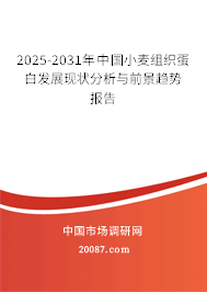 2025-2031年中国小麦组织蛋白发展现状分析与前景趋势报告 2025-2031年中国小麦组织蛋白发展现状分析与前景趋势报告