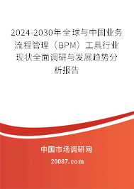 2024-2030年全球与中国业务流程管理（BPM）工具行业现状全面调研与发展趋势分析报告