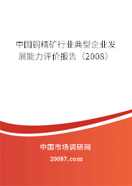 中国铜精矿行业典型企业发展能力评价报告(2008) 中国铜精矿行业典型企业发展能力评价报告(2008)