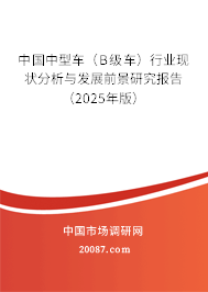 中国中型车（B级车）行业现状分析与发展前景研究报告（2025年版）