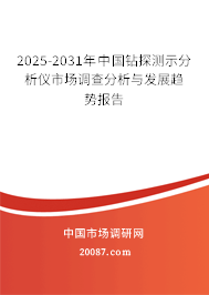 2025-2031年中国钻探测示分析仪市场调查分析与发展趋势报告