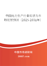 中国电力生产行业现状与市场前景预测（2025-2031年）
