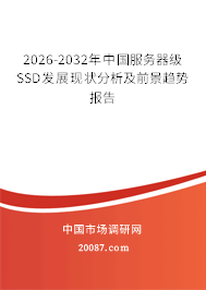 2026-2032年中国服务器级SSD发展现状分析及前景趋势报告