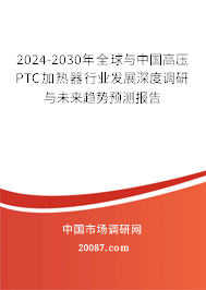 2024-2030年全球与中国高压PTC加热器行业发展深度调研与未来趋势预测报告