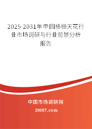 2025-2031年中国格栅天花行业市场调研与行业前景分析报告