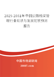 2025-2031年中国公路桥梁管理行业现状与发展前景预测报告 2025-2031年中国公路桥梁管理行业现状与发展前景预测报告