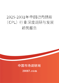 2025-2031年中国己内酰胺（CPL）行业深度调研与发展趋势报告