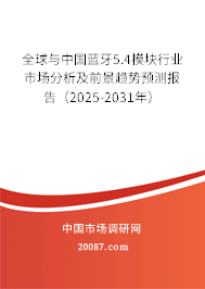 全球与中国蓝牙5.4模块行业市场分析及前景趋势预测报告(2025-2031年) 全球与中国蓝牙5.4模块行业市场分析及前景趋势预测报告(2025-2031年)