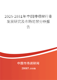 2024-2030年中国伸缩梯行业发展研究及市场前景分析报告 2024-2030年中国伸缩梯行业发展研究及市场前景分析报告