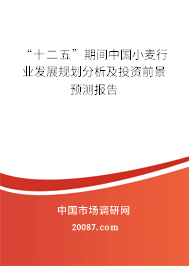 “十二五”期间中国小麦行业发展规划分析及投资前景预测报告