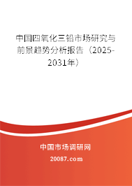 中国四氧化三铅市场研究与前景趋势分析报告（2025-2031年）