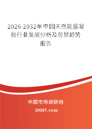 2026-2032年中国天然能量凝胶行业发展分析及前景趋势报告