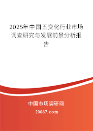 2025年中国五交化行业市场调查研究与发展前景分析报告