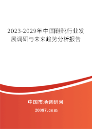 2023-2029年中国鞋靴行业发展调研与未来趋势分析报告