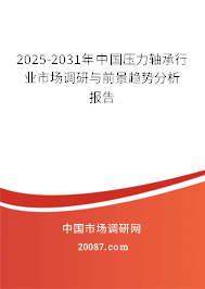 2025-2031年中国压力轴承行业市场调研与前景趋势分析报告