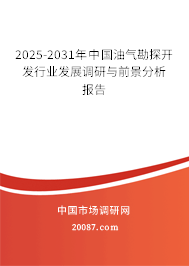 2025-2031年中国油气勘探开发行业发展调研与前景分析报告 2025-2031年中国油气勘探开发行业发展调研与前景分析报告
