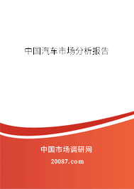 中国汽车市场分析报告