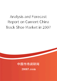 Analysis and Forecast Report on Current China Track Shoe Market in 2007