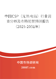 中国CSP（光热电站）行业调查分析及市场前景预测报告（2025-2031年）