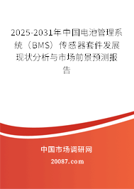 2025-2031年中国电池管理系统(BMS)传感器套件发展现状分析与市场前景预测报告 2025-2031年中国电池管理系统(BMS)传感器套件发展现状分析与市场前景预测报告