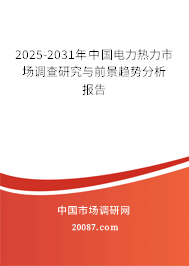 2025-2031年中国电力热力市场调查研究与前景趋势分析报告