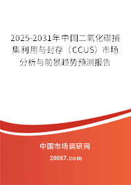 2025-2031年中国二氧化碳捕集利用与封存（CCUS）市场分析与前景趋势预测报告