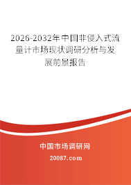 2026-2032年中国非侵入式流量计市场现状调研分析与发展前景报告