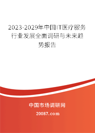2023-2029年中国IT医疗服务行业发展全面调研与未来趋势报告