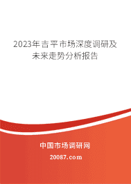 2023年吉平市场深度调研及未来走势分析报告 2023年吉平市场深度调研及未来走势分析报告