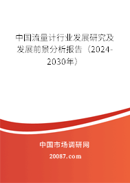 中国流量计行业发展研究及发展前景分析报告（2024-2030年）