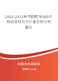 2026-2032年中国尼龙6&6市场调查研究与行业前景分析报告