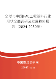 全球与中国PA6工程塑料行业现状全面调研及发展趋势报告(2024-2030年) 全球与中国PA6工程塑料行业现状全面调研及发展趋势报告(2024-2030年)