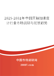 2025-2031年中国三轴加速度计行业市场调研与前景趋势