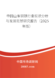 中国山东钢铁行业现状分析与发展前景研究报告(2025年版) 中国山东钢铁行业现状分析与发展前景研究报告(2025年版)