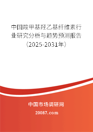 中国羧甲基羟乙基纤维素行业研究分析与趋势预测报告(2025-2031年) 中国羧甲基羟乙基纤维素行业研究分析与趋势预测报告(2025-2031年)