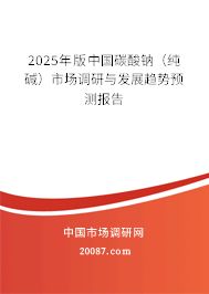 2025年版中国碳酸钠(纯碱)市场调研与发展趋势预测报告 2025年版中国碳酸钠(纯碱)市场调研与发展趋势预测报告