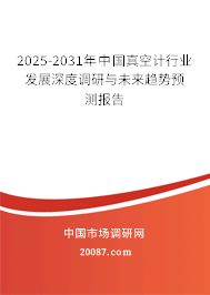 2025-2031年中国真空计行业发展深度调研与未来趋势预测报告