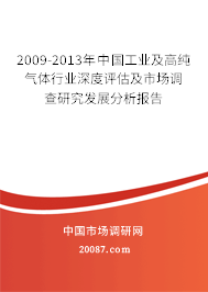 2009-2013年中国工业及高纯气体行业深度评估及市场调查研究发展分析报告