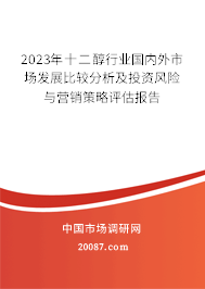 2023年十二醇行业国内外市场发展比较分析及投资风险与营销策略评估报告