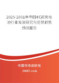 2025-2031年中国4C超充电池行业发展研究与前景趋势预测报告