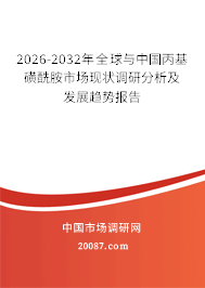 2026-2032年全球与中国丙基磺酰胺市场现状调研分析及发展趋势报告 2026-2032年全球与中国丙基磺酰胺市场现状调研分析及发展趋势报告