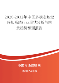 2026-2032年中国多模态触觉感知系统行业现状分析与前景趋势预测报告