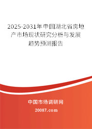 2025-2031年中国湖北省房地产市场现状研究分析与发展趋势预测报告