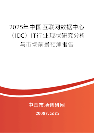 2025年中国互联网数据中心（IDC）IT行业现状研究分析与市场前景预测报告